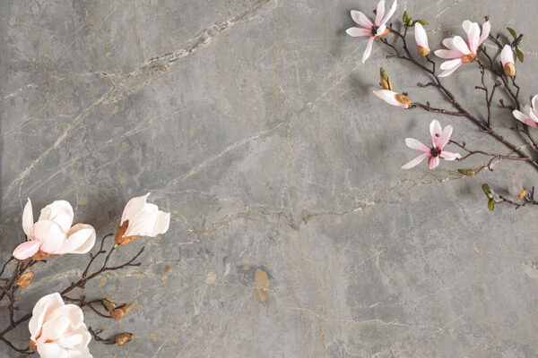 Aparici Dstone by the Tile Company